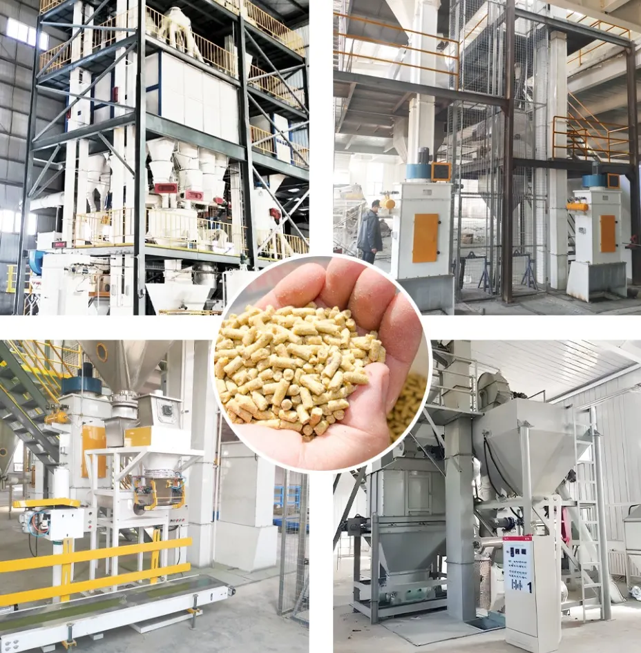 vietnam hog feed factory