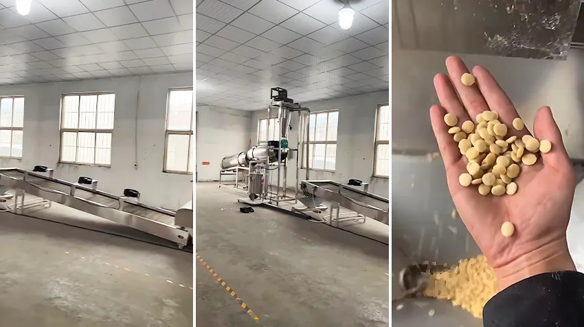 Vietnam Pet Feed Factory
