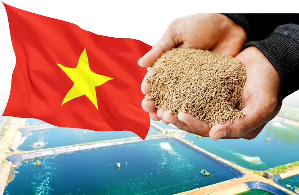 vietnam shrimp feed self production feasibility