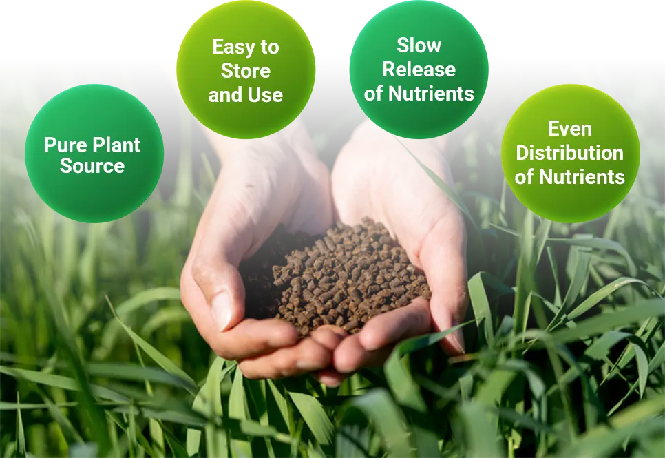 why choose fertilizer pellet mill
