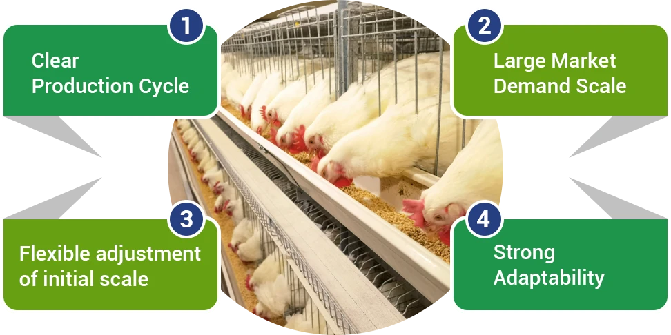 why start broiler farming