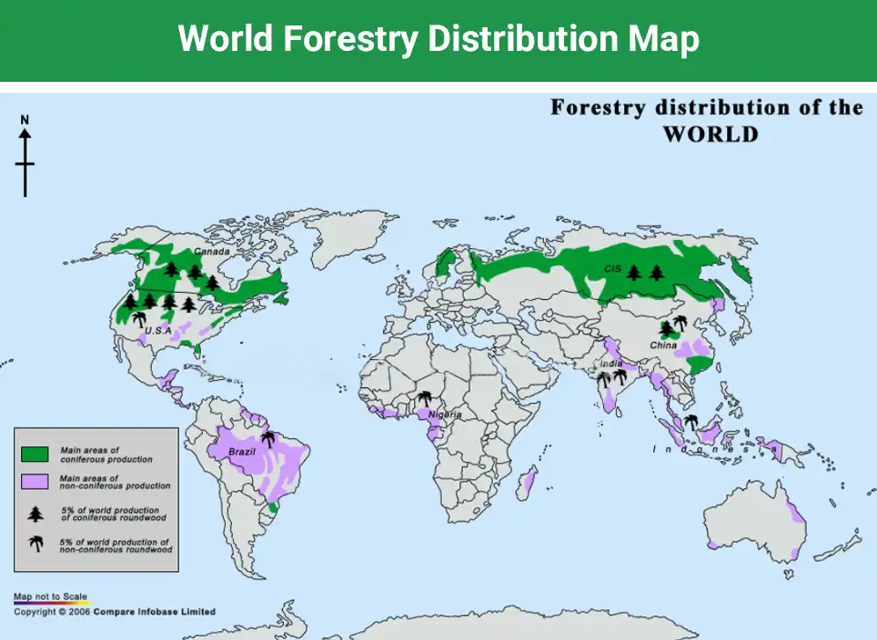 world forest distribution