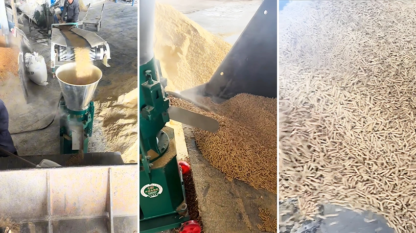 yancheng feed production line