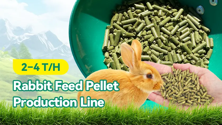 2–4 T/H Rabbit Feed Pellet Production Line