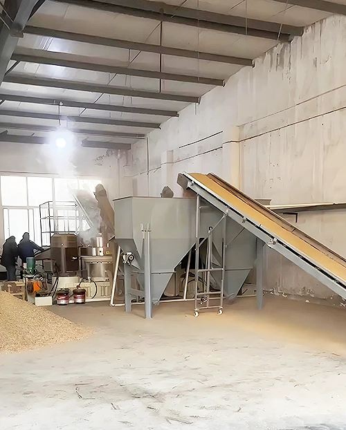 Rice Husk to Energy: Biomass Pellet Project in Bangladesh