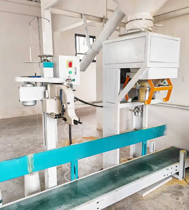 Quantitative Weighing Packaging Machine