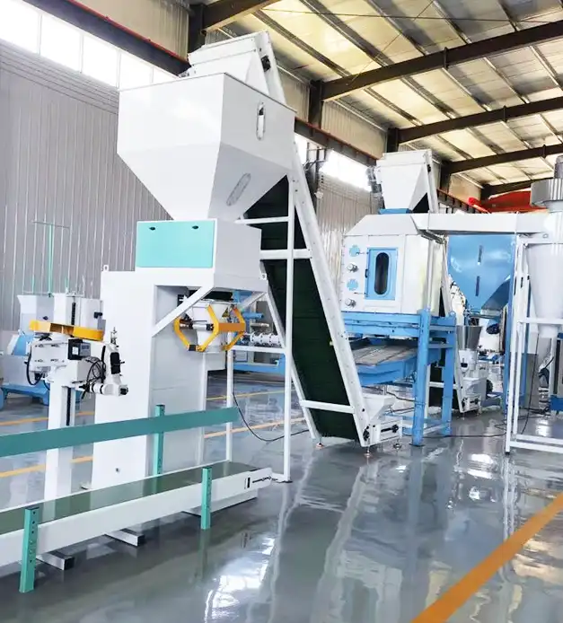 Quantitative Weighing Packaging Machine